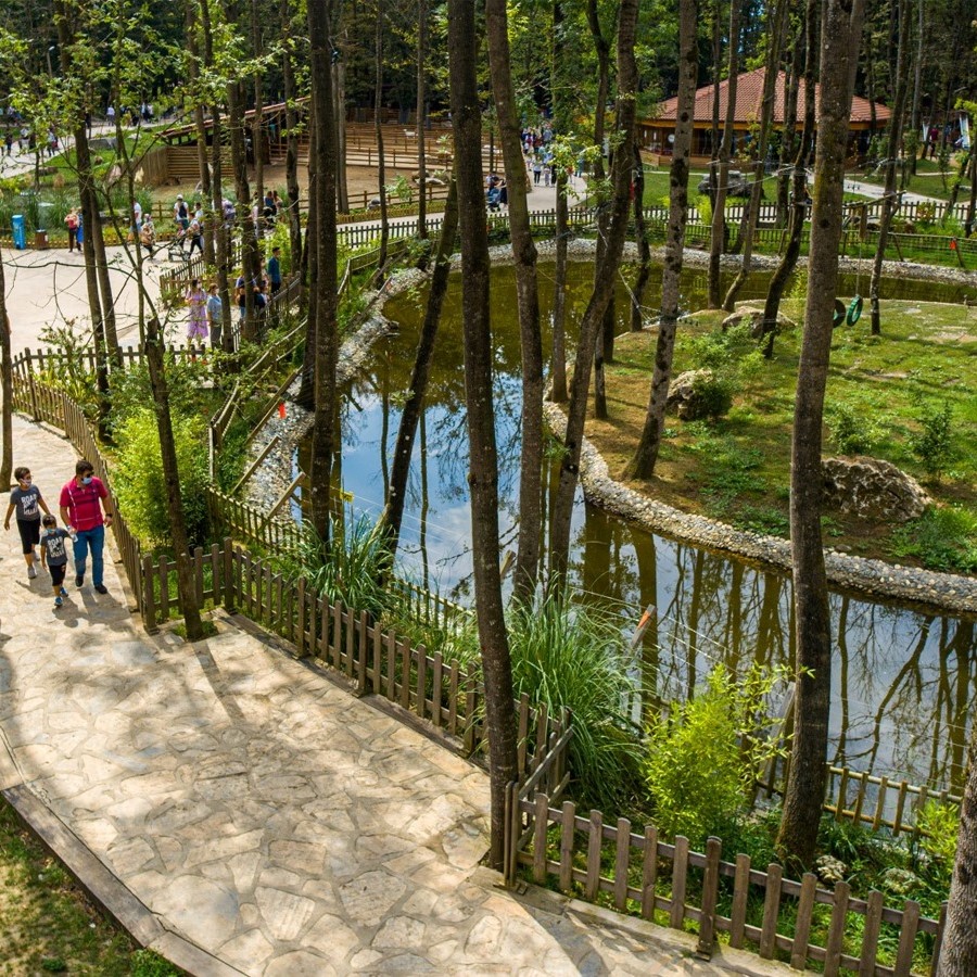 İzmir'den Kalkışlı 2 Gece 3 Gün Konaklamalı Batı Karadeniz, Yedigöller ve Ormanya Turu