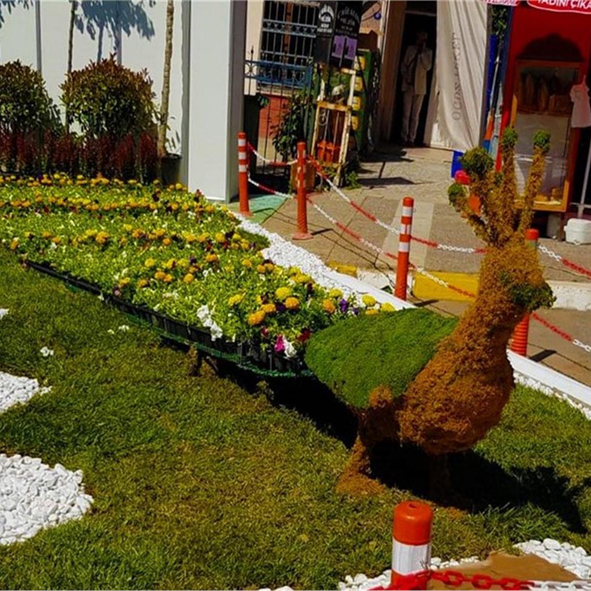 Bayındır Çiçek Festivali 5