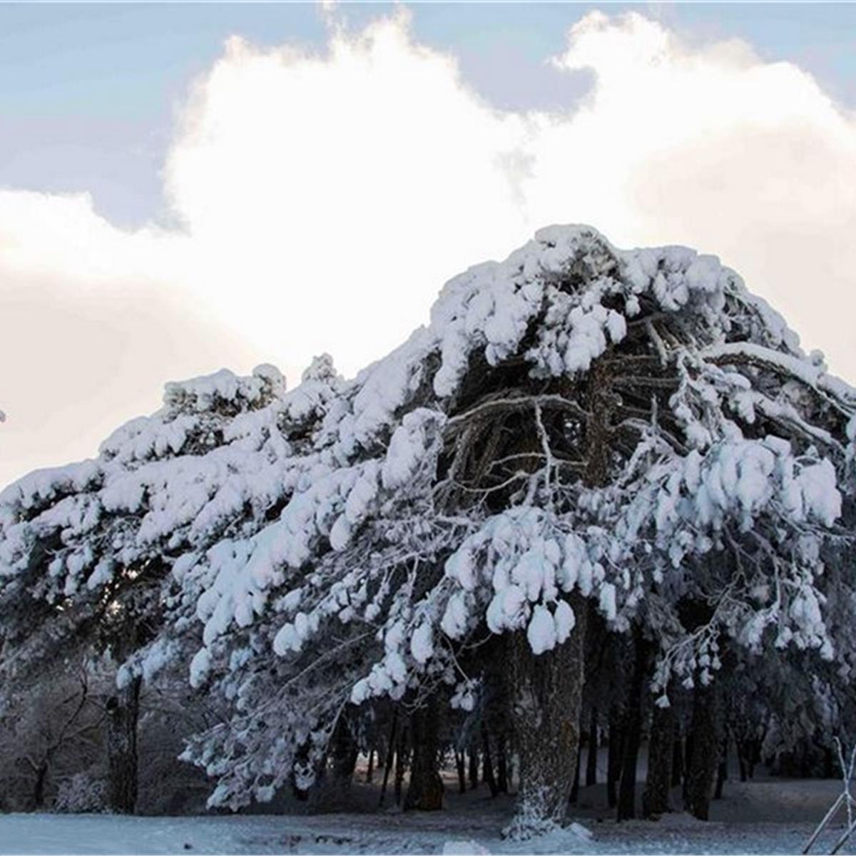 Manisa Spil Dağı Turu 10