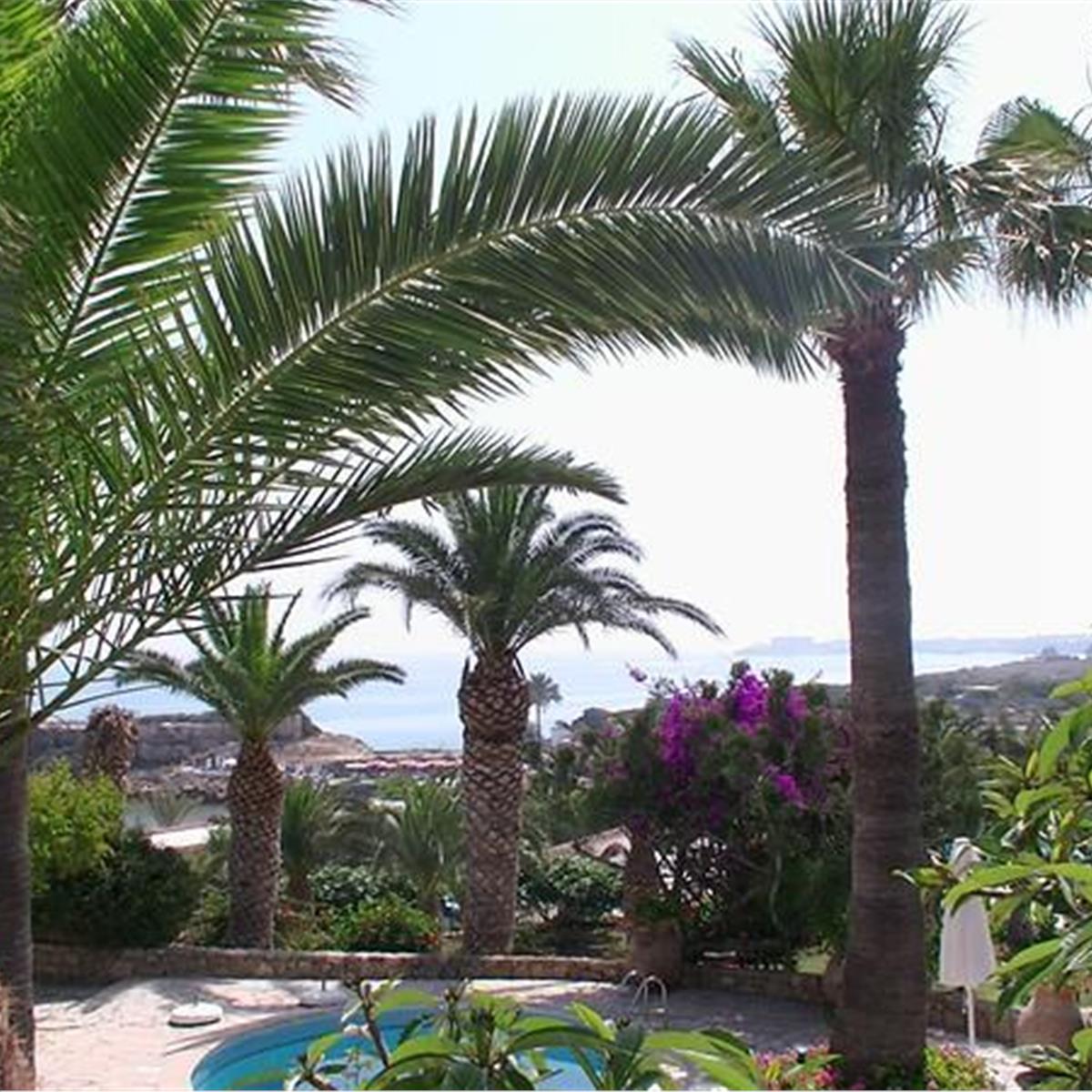 DENIZ KIZI HOTEL YARIM PANSIYON