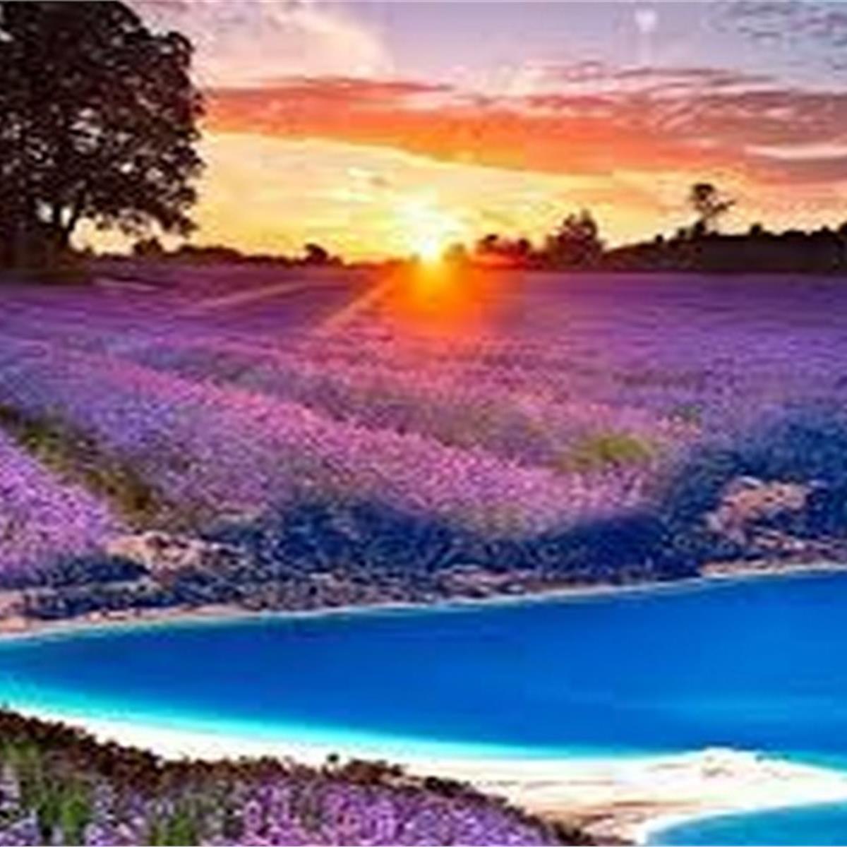 Lavanta Tarlaları ve Salda Gölü Turu 8