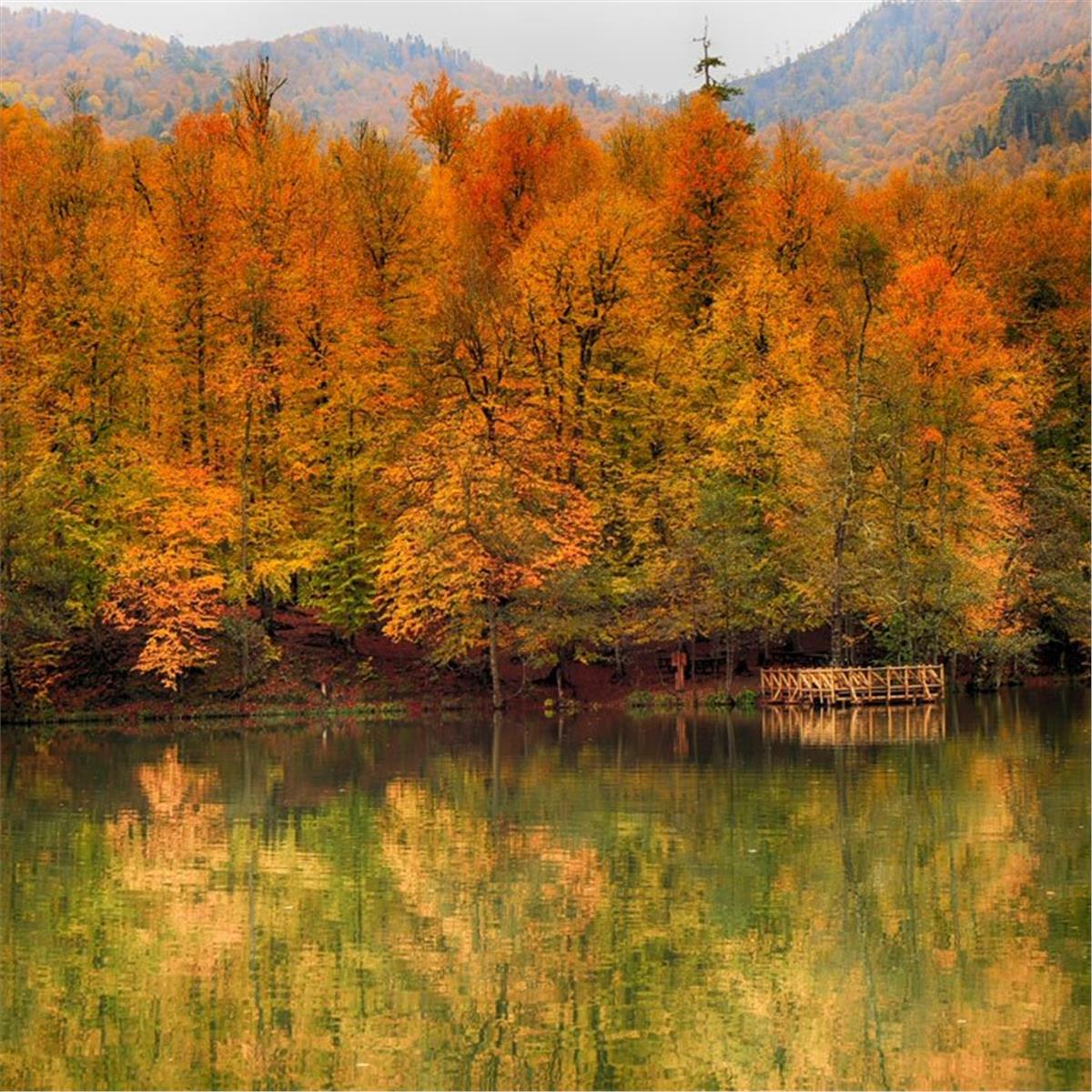 Şile, Ağva, MAşukiye, Ormanya, Abant, Mudanya, Trilye Turu