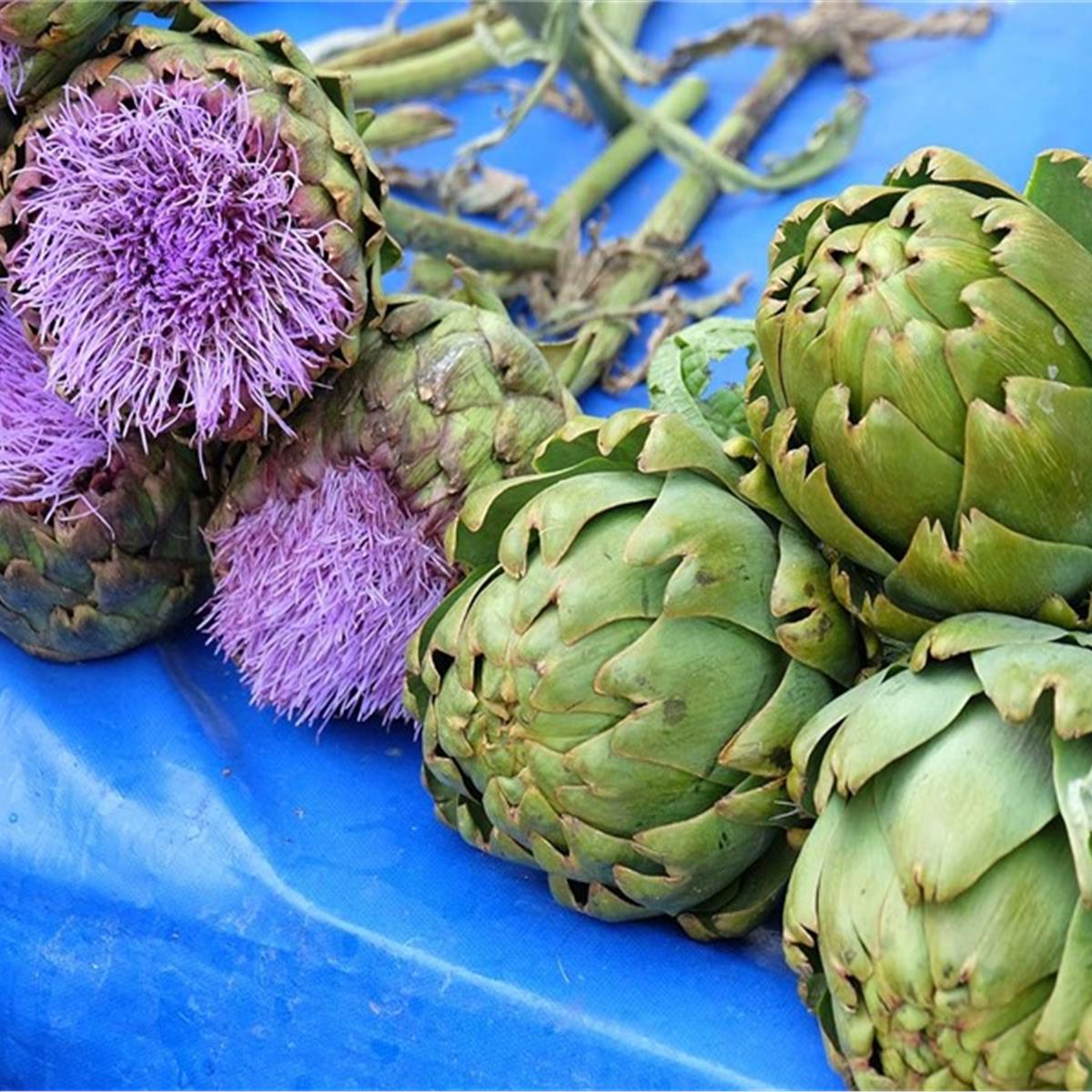 Alaçatı Ot Festivali Turu 5