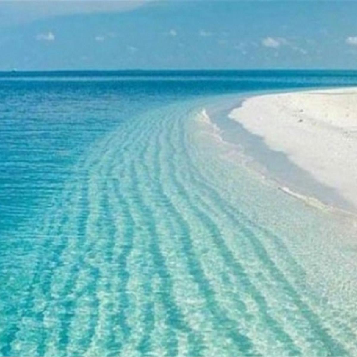 Lavanta Tarlaları ve Salda Gölü Turu 9