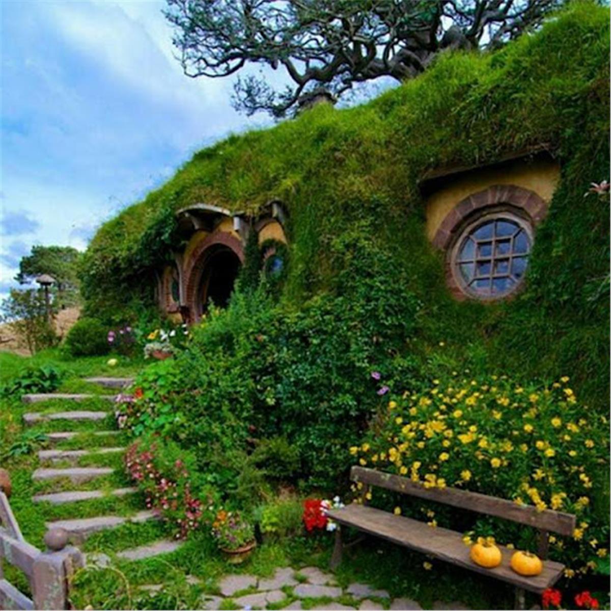 Maşukiye hobbit evleri genel görünüm