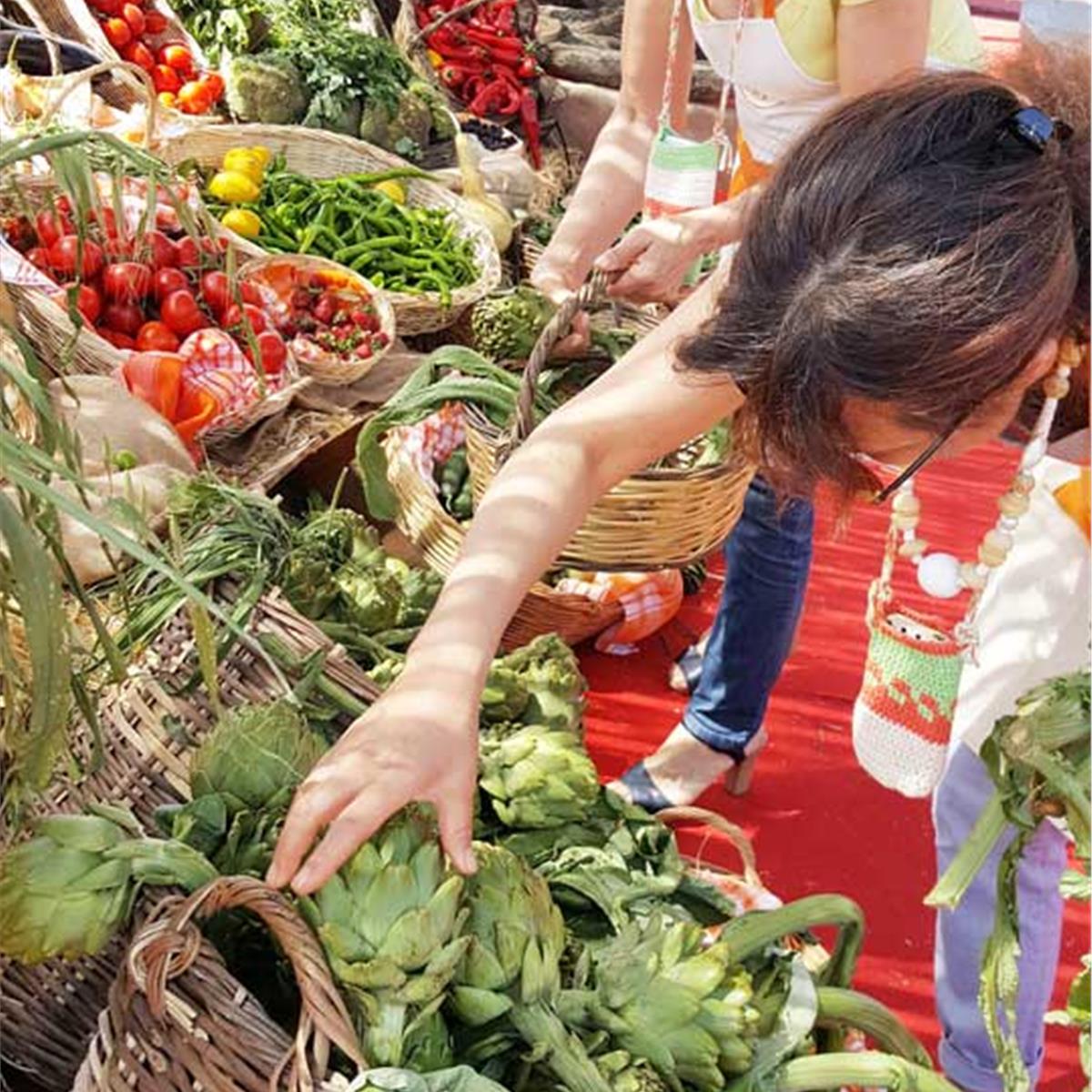 Günübirlik Urla Enginar Festivali Turu