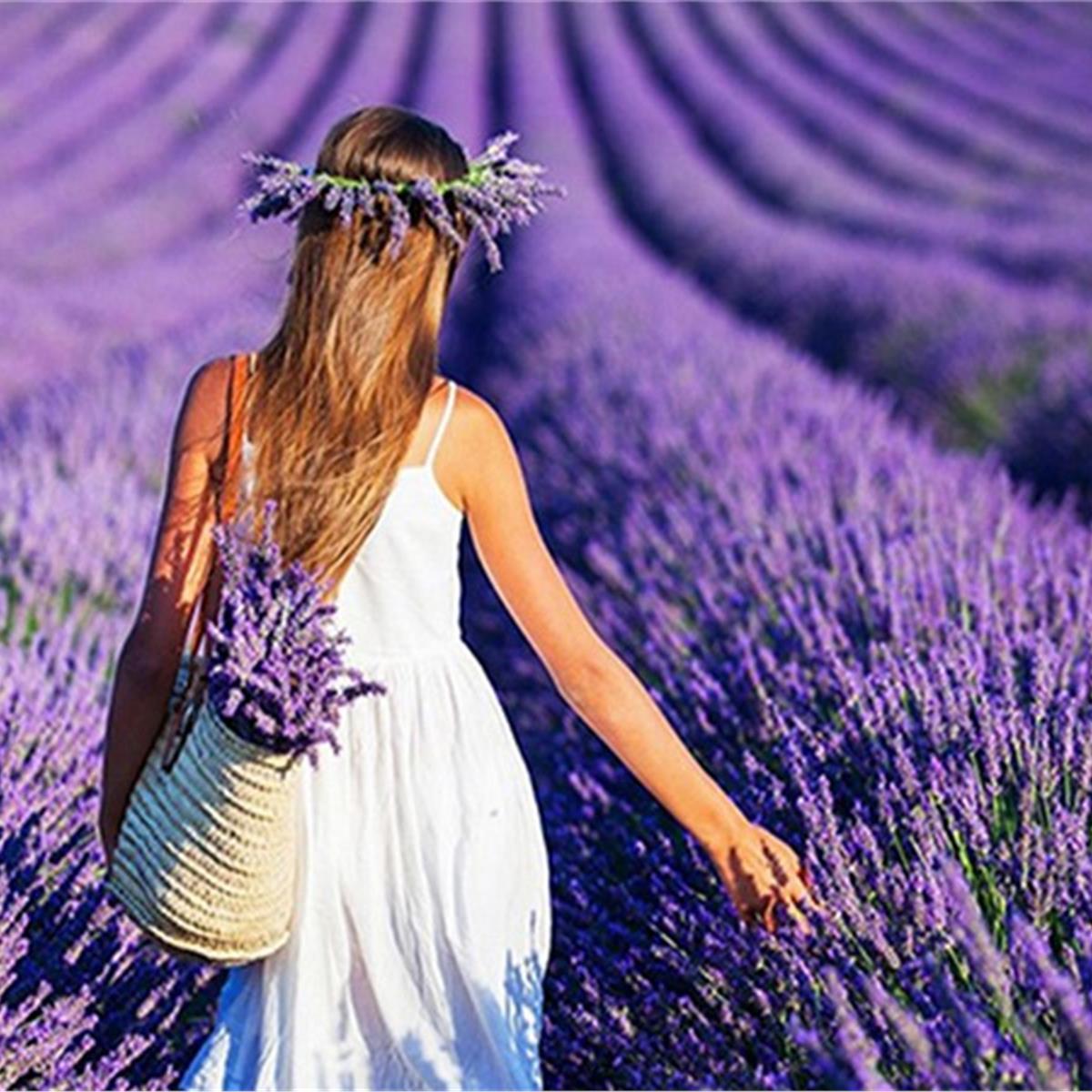 Lavanta Tarlaları ve Salda Gölü Turu 5