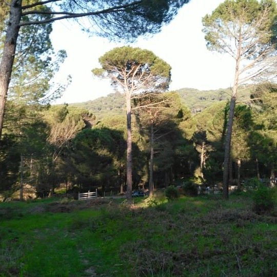 BERGAMA YAŞAM VADISI TURU 3