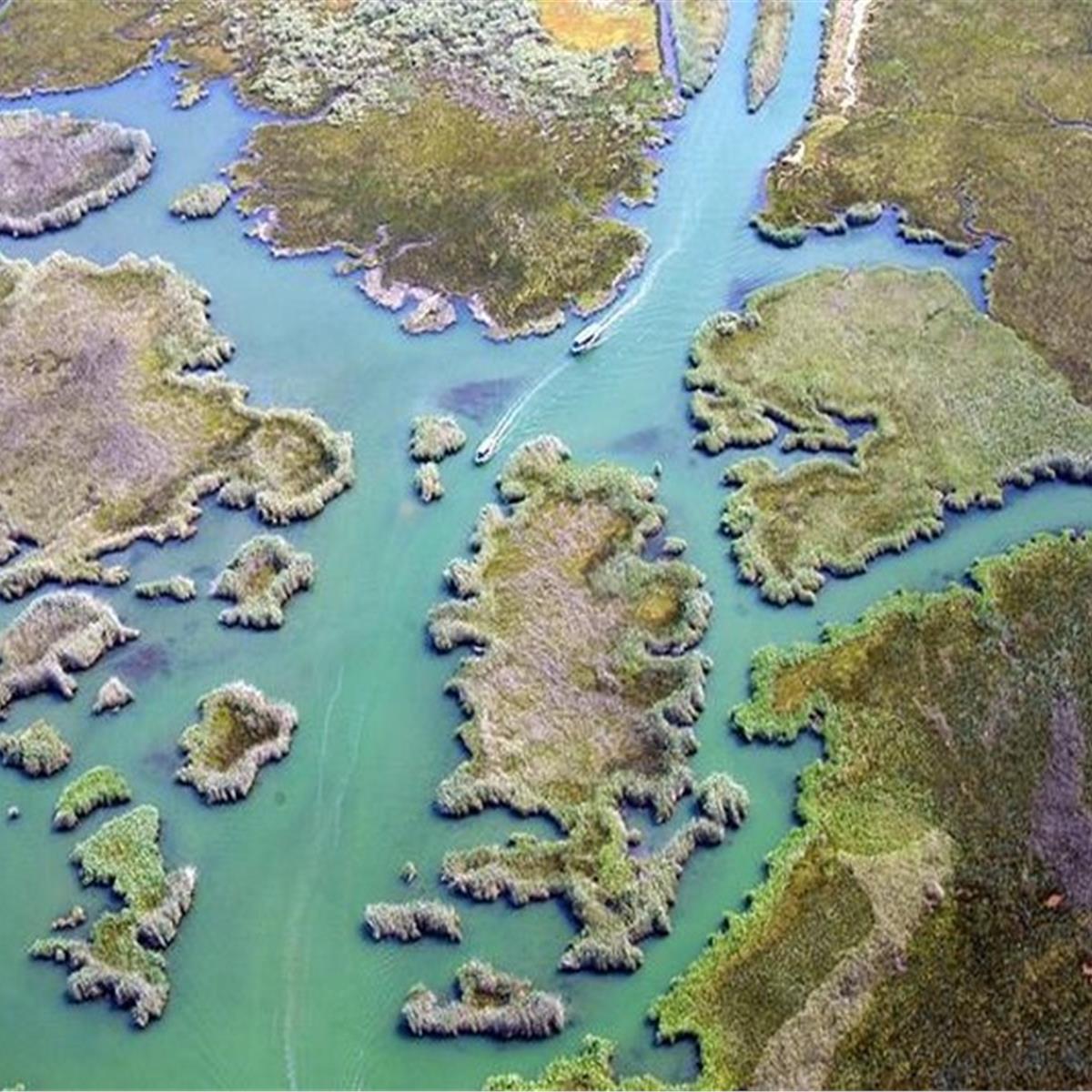 dalyan kanal resmi