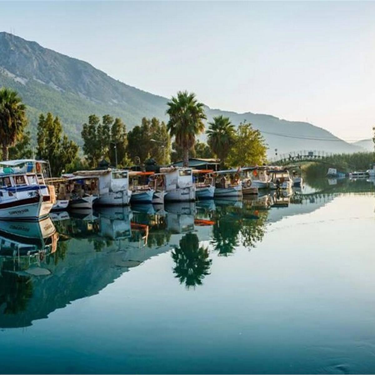Şile, Ağva, MAşukiye, Ormanya, Abant, Mudanya, Trilye Turu