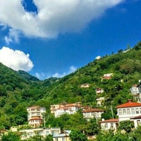 YAYLA YAYLA KARADENIZ TURU 10
