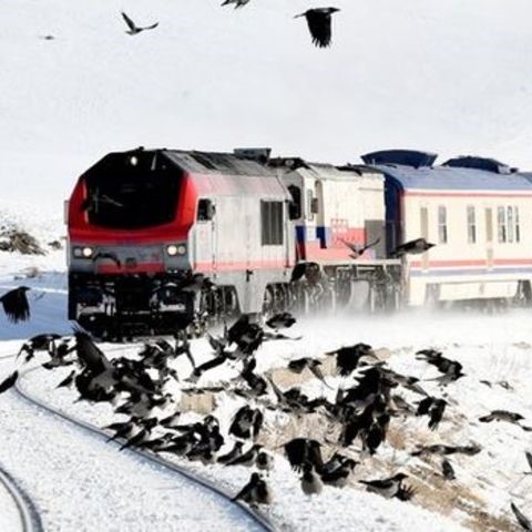 İzmir'den Uçaklı 4 Gece 5 Gün Konaklamalı Doğu Ekspresi ve Palandöken Kayak Merkezi İle Van, Kars, Erzurum Palandöken Turu