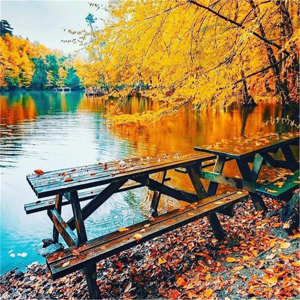 İzmir Çıkışlı 2 gece 3 gün Konaklamalı Şile, Ağva, Ormanya, Maşukiye, Abant, Sapanca Gölü, Yedigöller, Amasra ve Safranbolu ile Batı Karadeniz Turu
