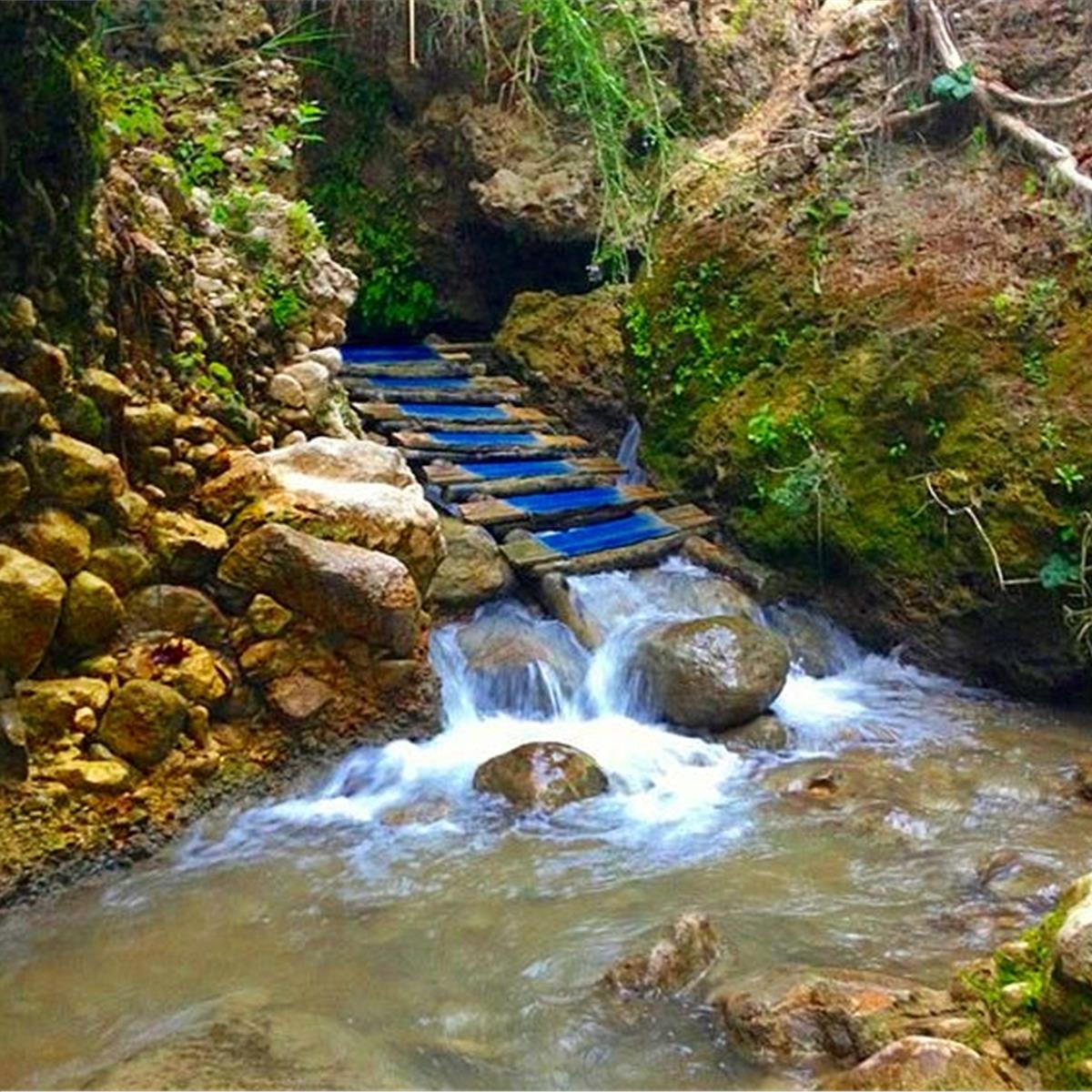 İzmir çıkışlı 4 gece 5 gün Bungalow  Konaklamalı Deluxe Olympos Turu