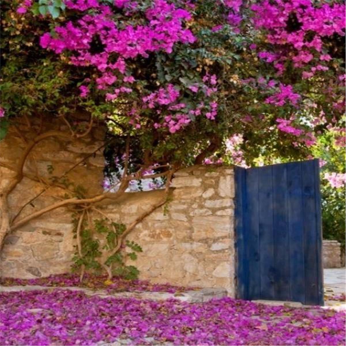 Konaklamalı Marmaris Sedir Adası, Datça, Kız kumu turu