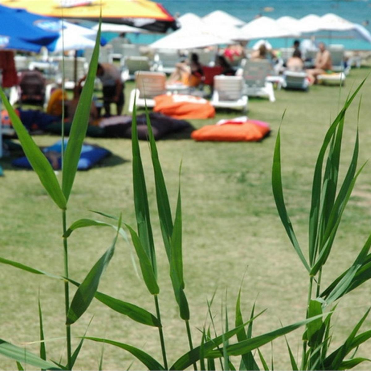 Çeşme Günizi Beach’de Denize Nazır Bungalow’da 2 veya 3 Kişilik Kahvaltı dahil seçenekli Konaklama ve Beach Kullanımı