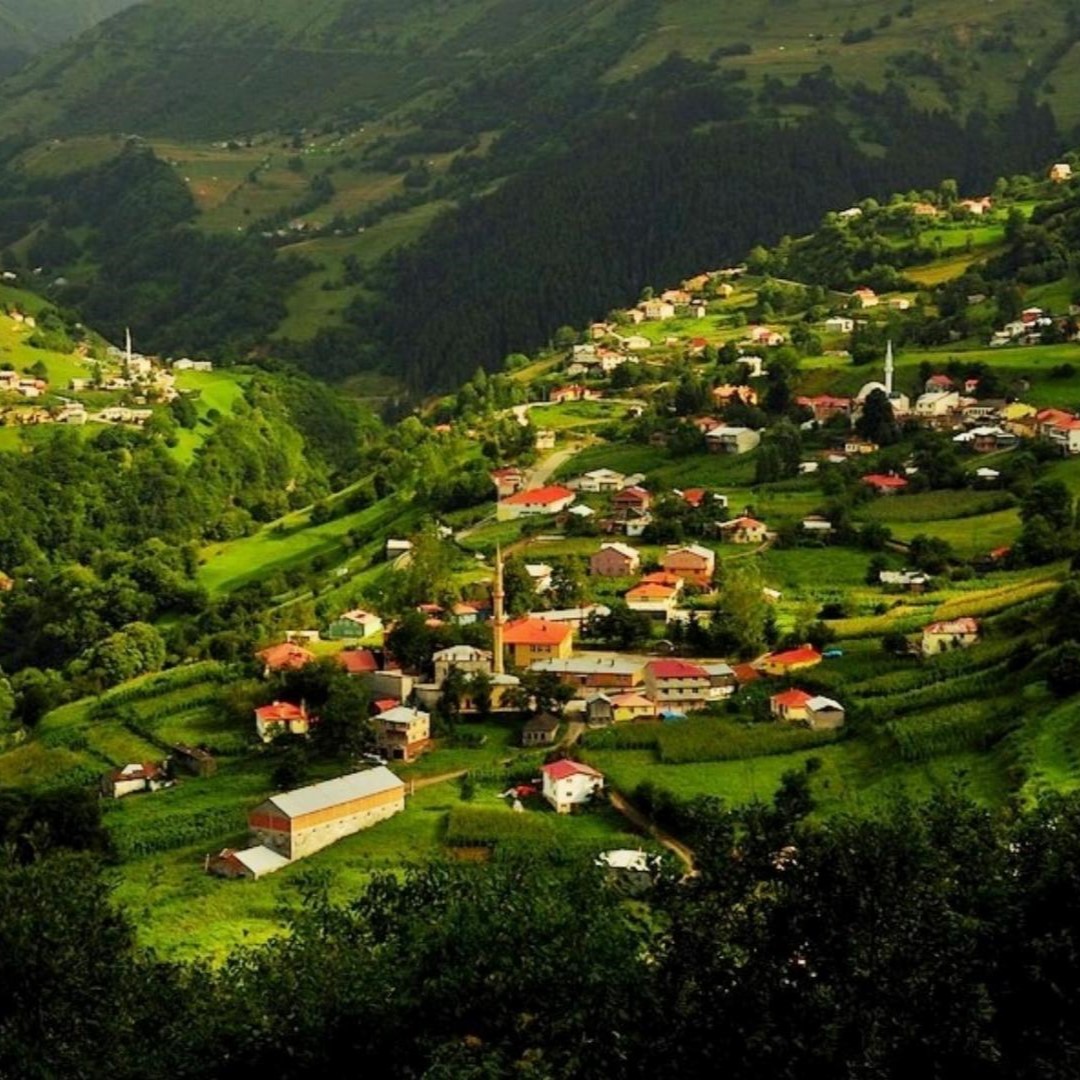 YAYLA YAYLA KARADENIZ TURU 2