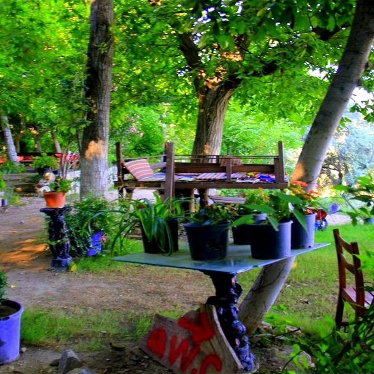 tire değirmen restaurant saksıda çiçekler