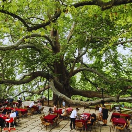 İzmir'den Otobüslü Günübirlik Ramazan Ayı Özel Sahurdan Teravihe Bursa Turu