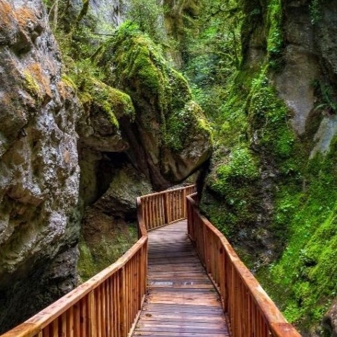 BATI KARADENIZ TURU 7