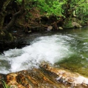 ÇIÇEKLI KÖY KIMIZ AT ÇIFTLIĞI TURU 4