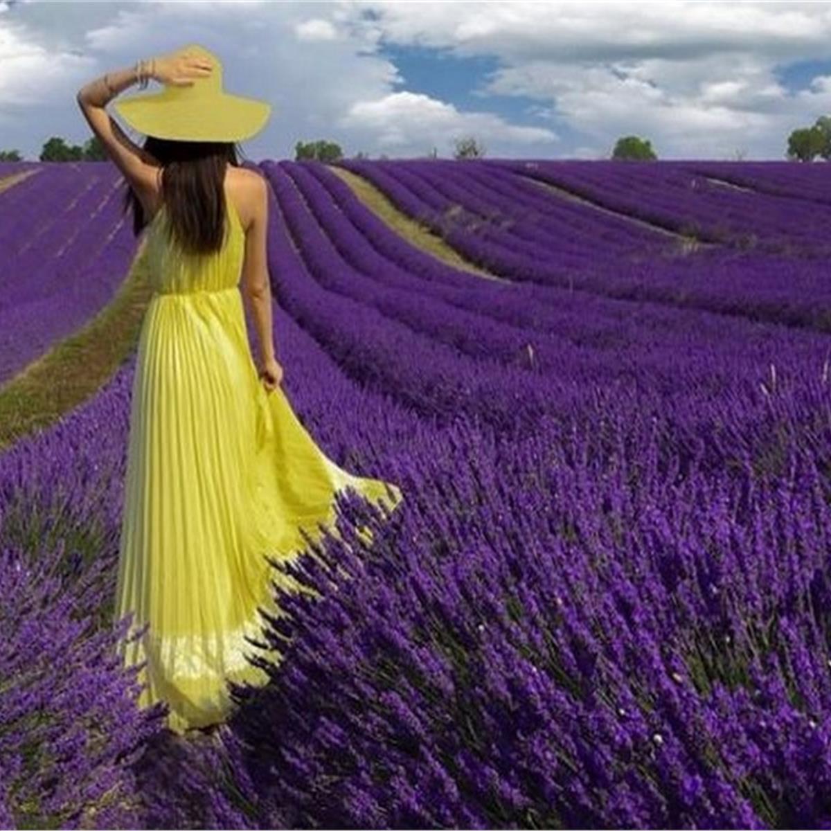 Lavanta Tarlaları ve Salda Gölü Turu 1