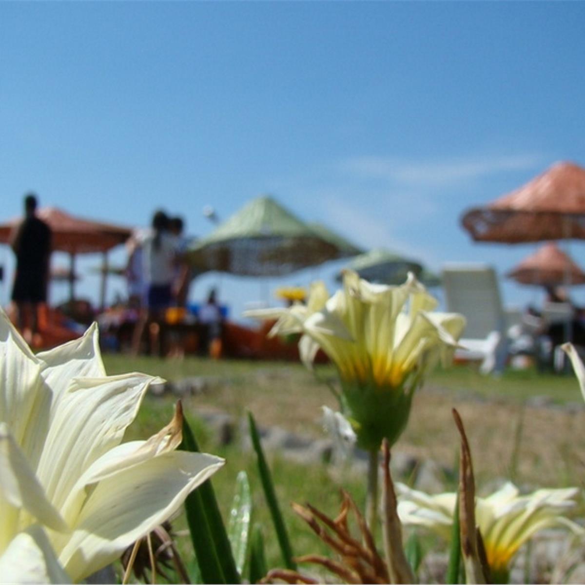 Çeşme Günizi Beach’de Denize Nazır Bungalow’da 2 veya 3 Kişilik Kahvaltı dahil seçenekli Konaklama ve Beach Kullanımı