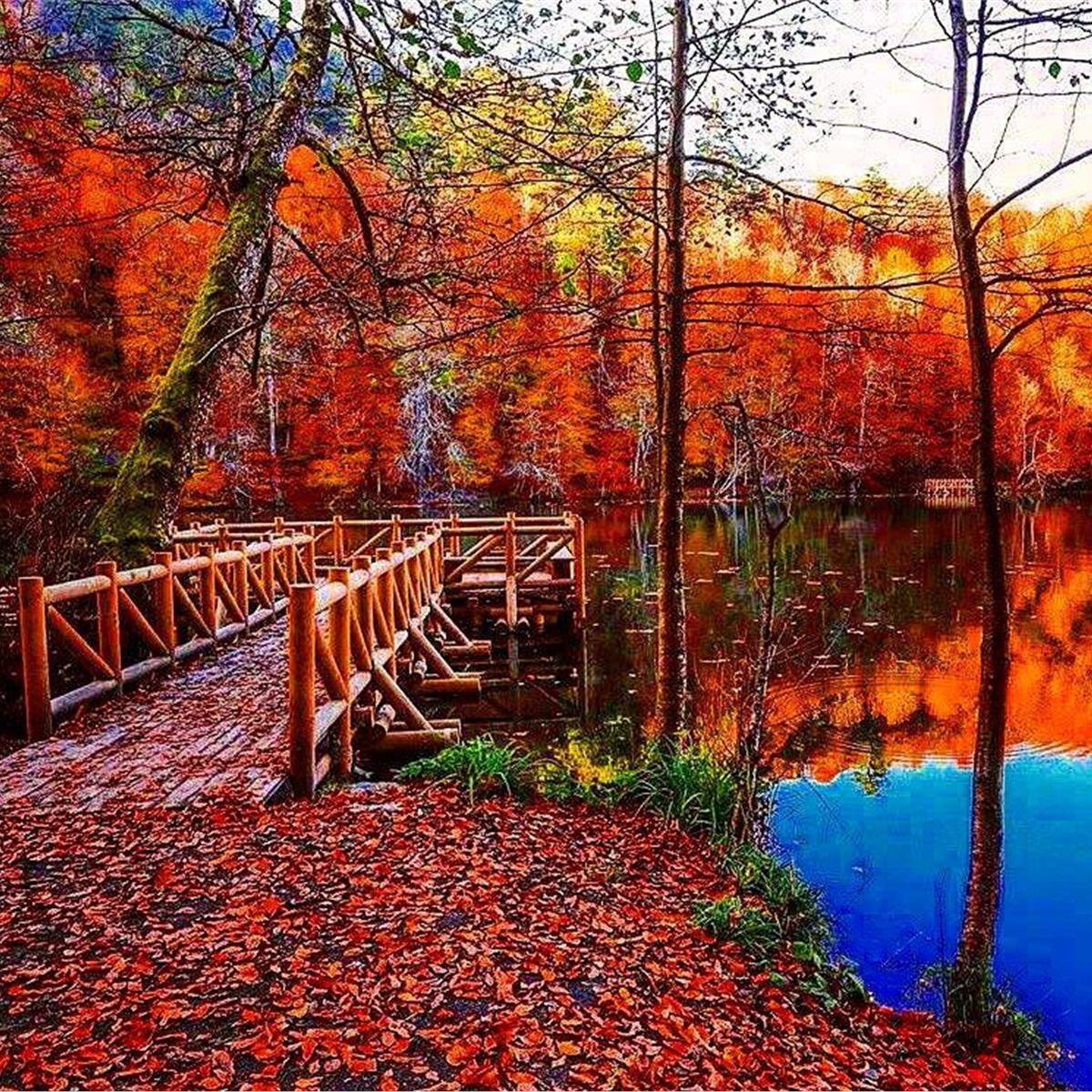 Şile, Ağva, MAşukiye, Ormanya, Abant, Mudanya, Trilye Turu