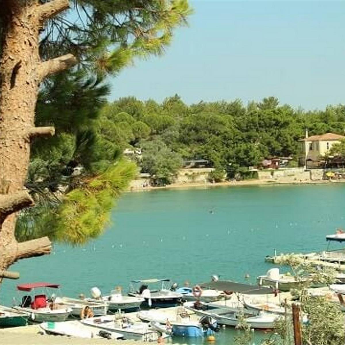 URLA 1