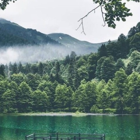 YAYLA YAYLA KARADENIZ TURU 5
