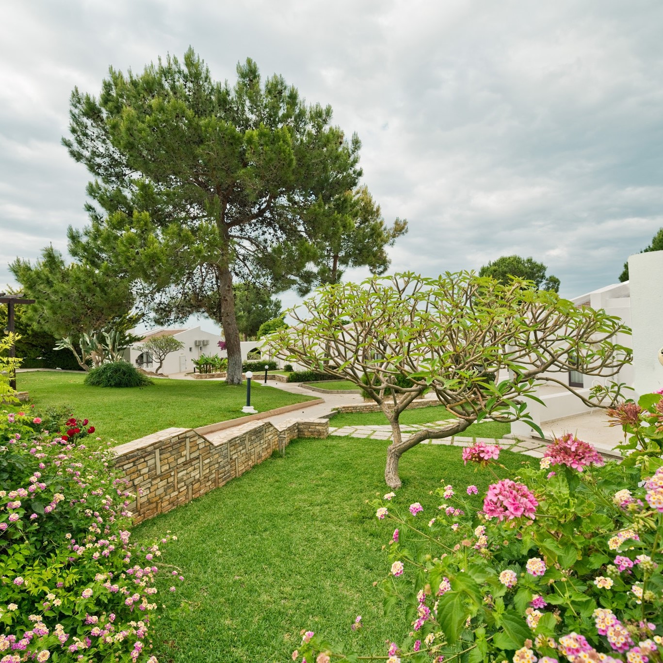 İzmir'den Uçak İle Hareketli 3 Gece 4 Gün 4 Yıldızlı Olive Tree Hotel Konaklamalı Kıbrıs Turu