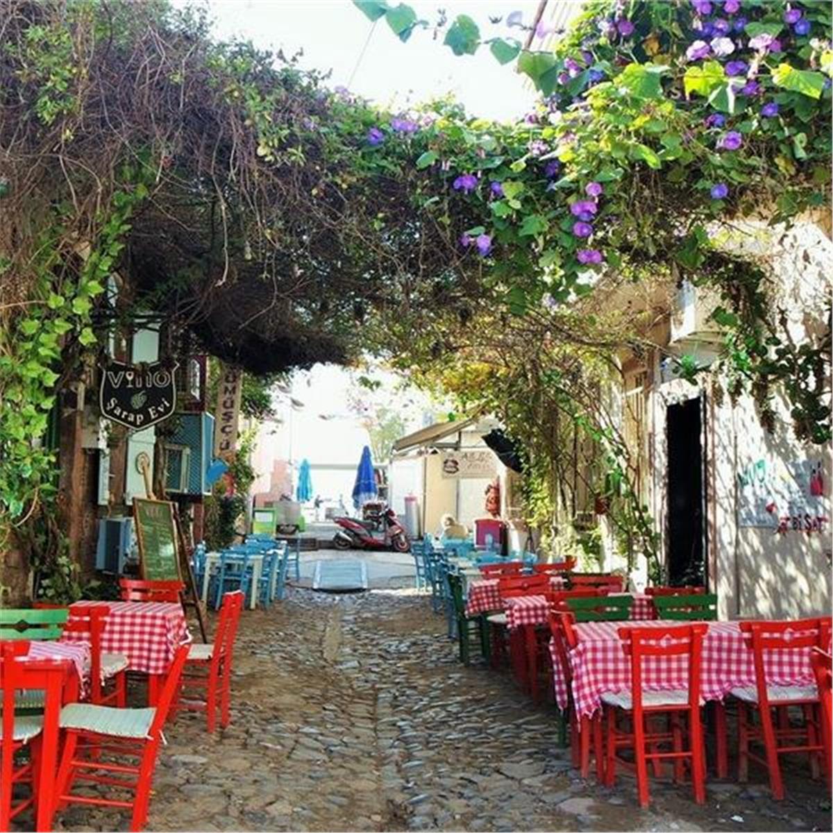 İzmir Çıkışlı Günübirlik Kazdağları, Hasan Boğuldu, Sütüven Şelalesi, Ayvalık, Cunda turu