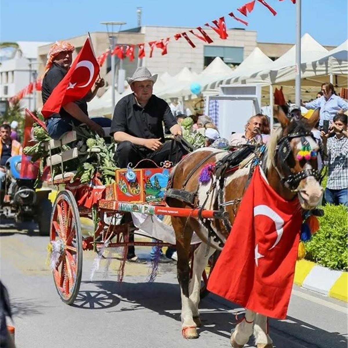 Günübirlik Urla Enginar Festivali Turu