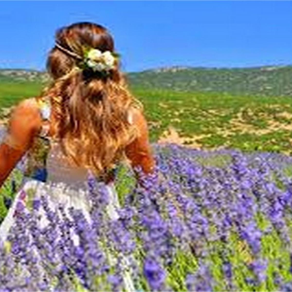 Lavanta Tarlaları ve Salda Gölü Turu 2