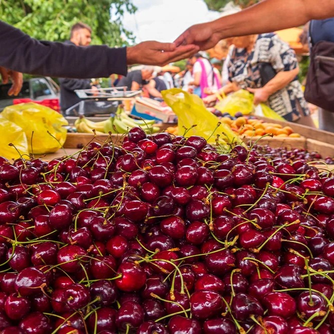 İzmir'den Kalkışlı Günübirlik Tekirdağ Kiraz Festivali Turu
