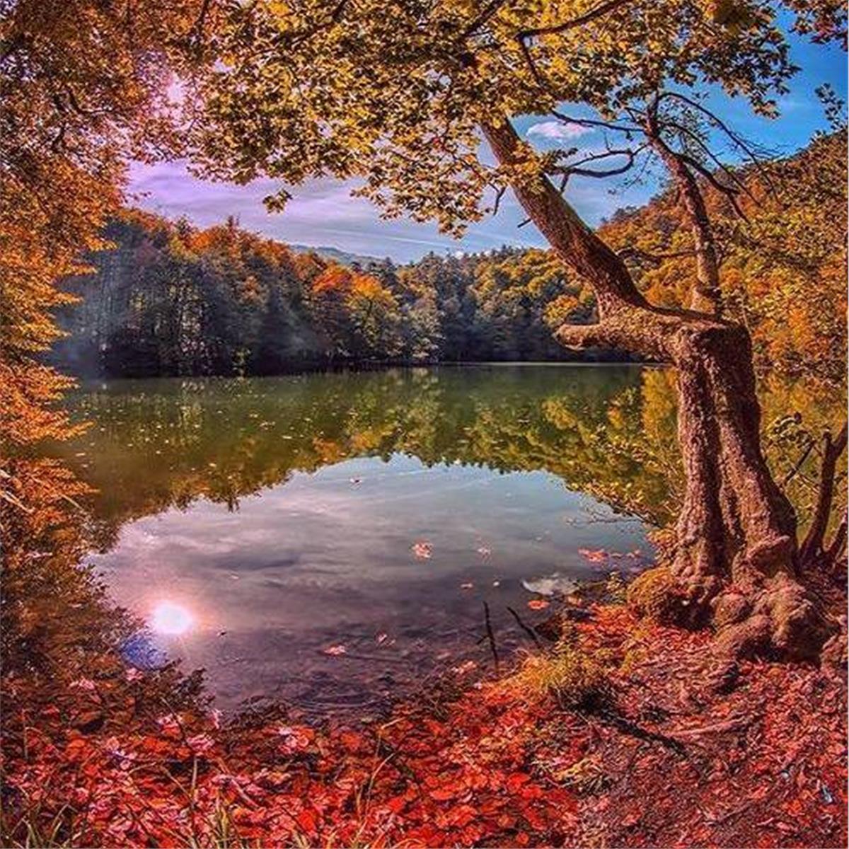 Şile, Ağva, MAşukiye, Ormanya, Abant, Mudanya, Trilye Turu