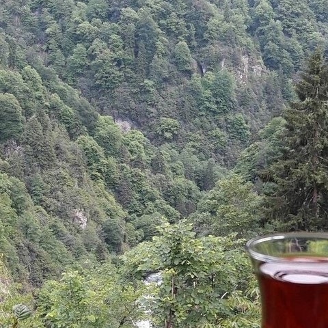 YAYLA YAYLA KARADENIZ TURU 8