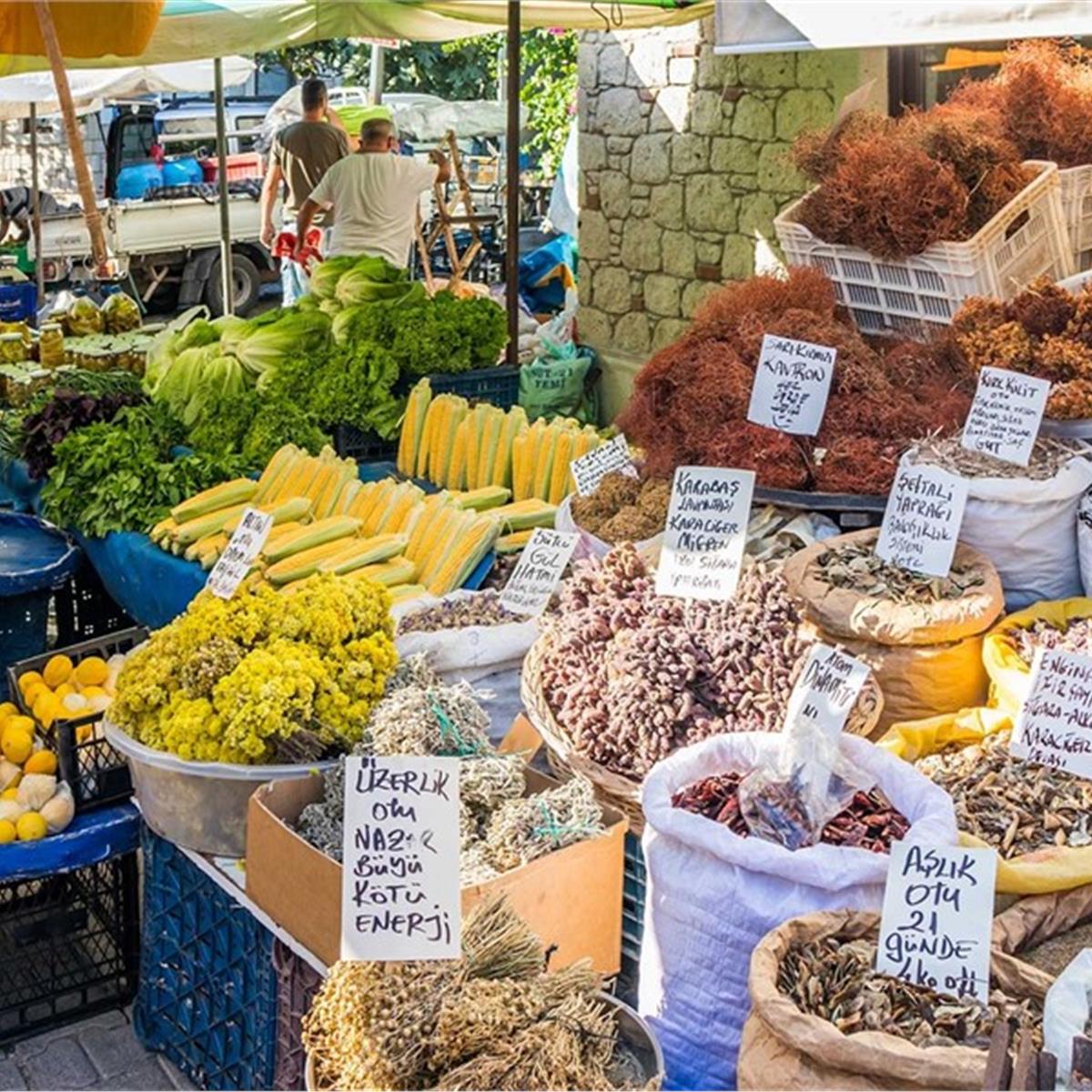 Alaçatı Ot Festivali Turu 4
