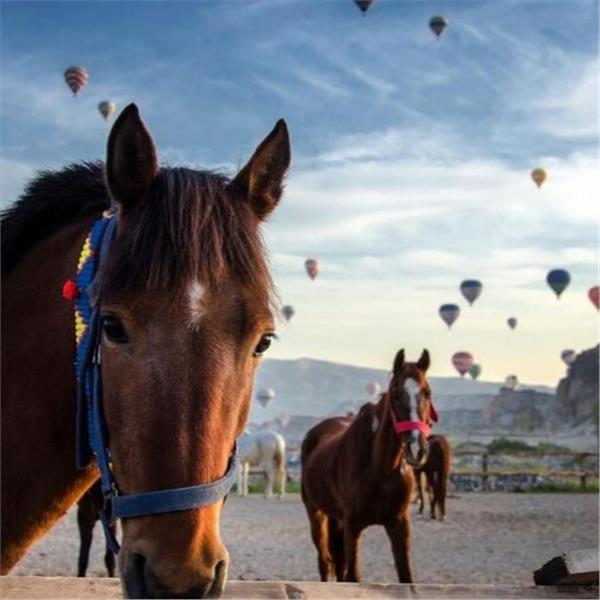 İzmir'den Kalkışlı 2 Gece 3 Gün 5 Yıldız Konaklamalı Kapadokya ve Konya Turu