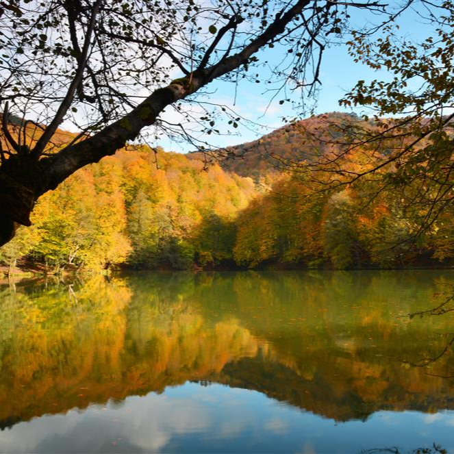 İzmir'den Otobüslü 3 Gece 4 Gün Konaklamalı Amasya, Sinop, Kastamonu, Safranbolu İle Orta Ve Batı Karadeniz Rüzgarı Turu