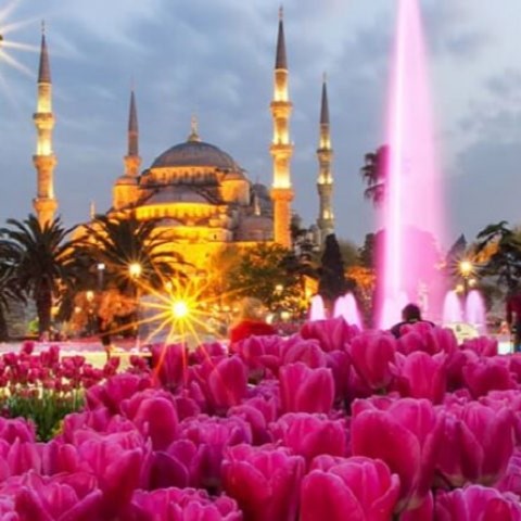 LALE VE ERGUVAN ZAMANI İSTANBUL TURU 2