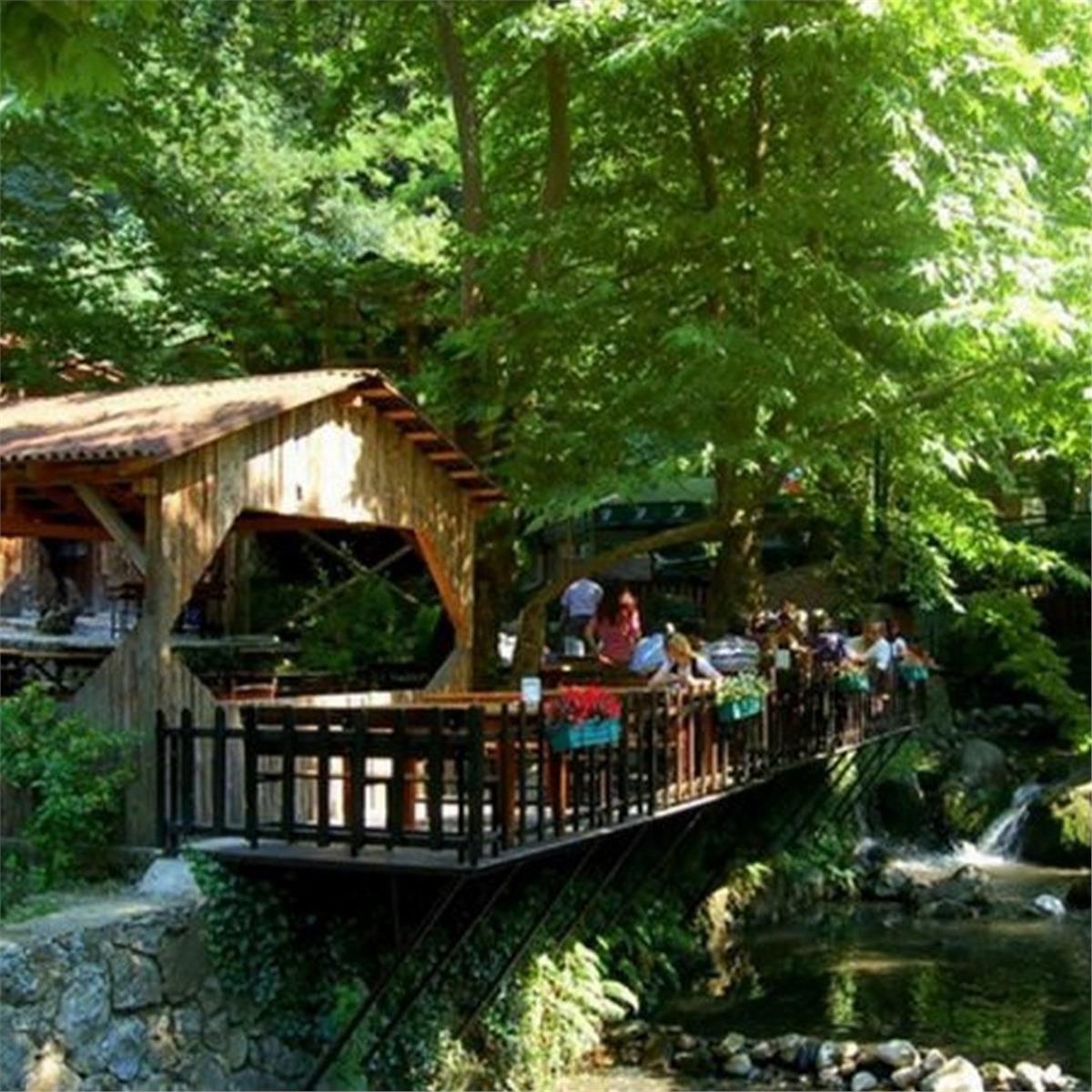 2 GECE 3 GÜN KONAKLAMALI ABANT, KARTALKAYA, KARTEPE VE ORMANYA ILE 4'LÜ KAR KEYFI
