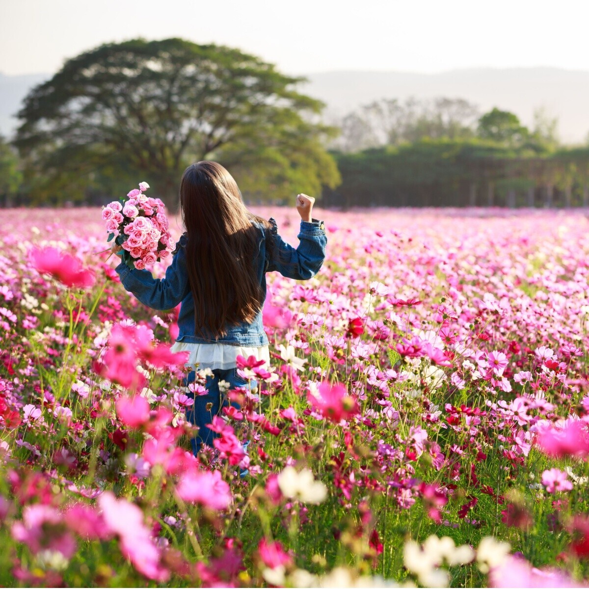 İzmir'den Otobüslü 2 Gece 3 Gün Konaklamalı Kazanlık Gül Festivali Turu. Üstelik Sofya Şehir Turu Dahil.
