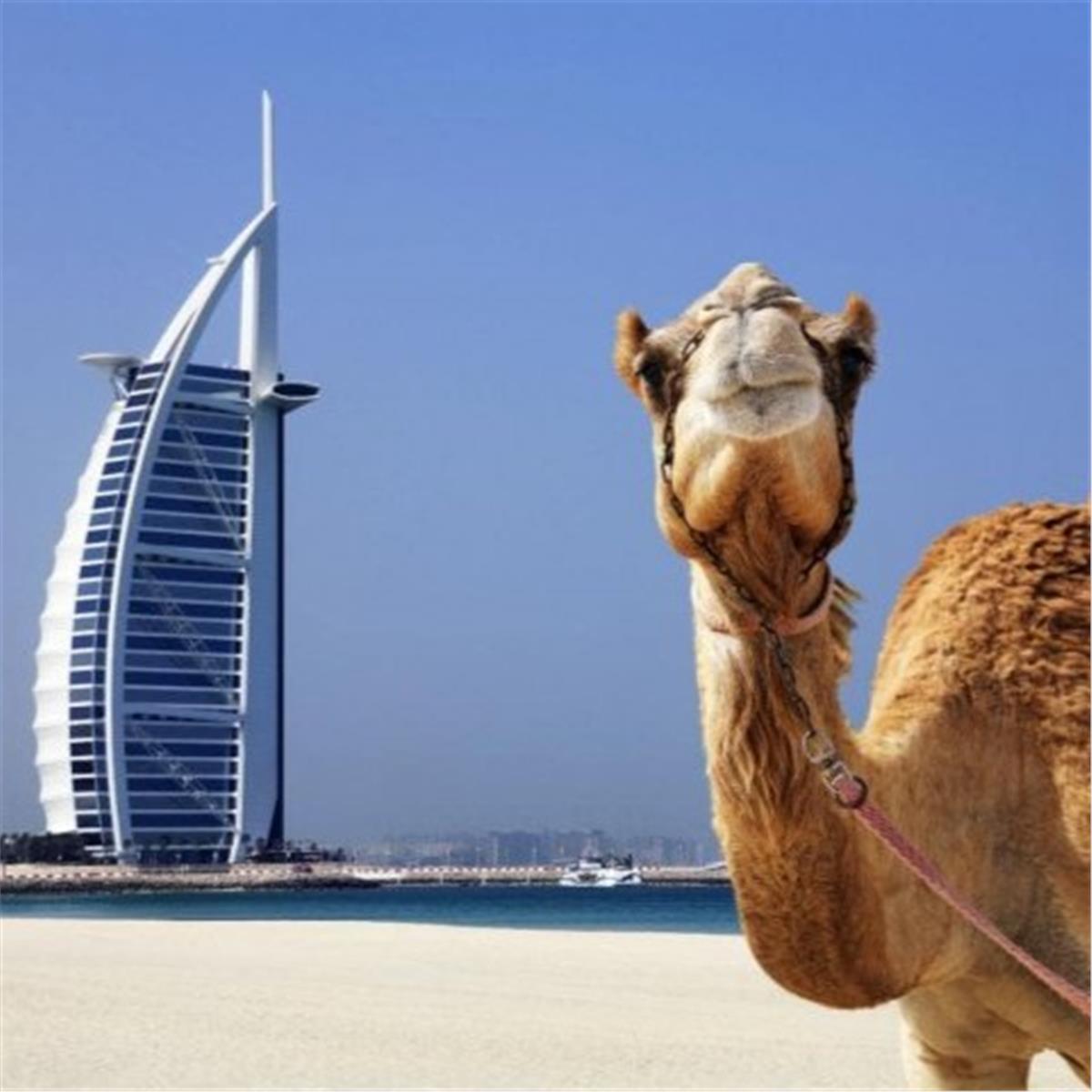 3 GECE 4 GÜN KONAKLAMALI DUBAI TURU - TUR