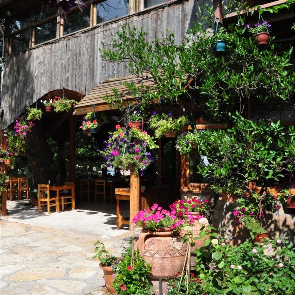 İZmir İZmir çıkışlı 3 gece 4 gün antalya olympos turuçıkışlı 3 gece 4 gün antalya olympos turu