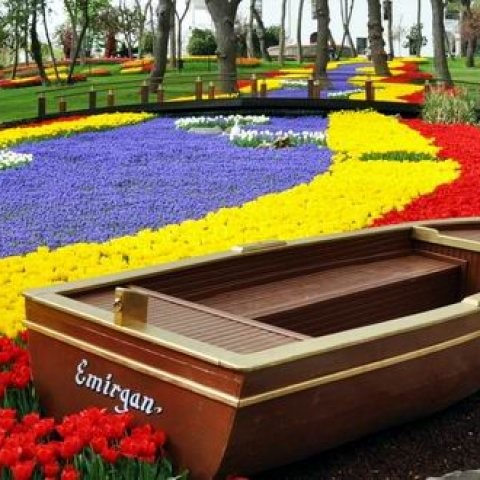 LALE VE ERGUVAN ZAMANI İSTANBUL TURU 3