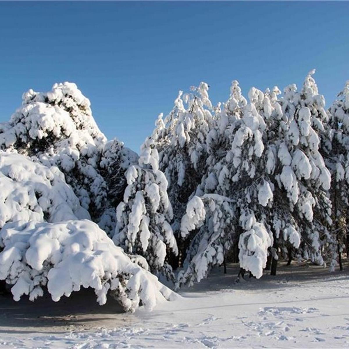Manisa Spil Dağı Turu 7