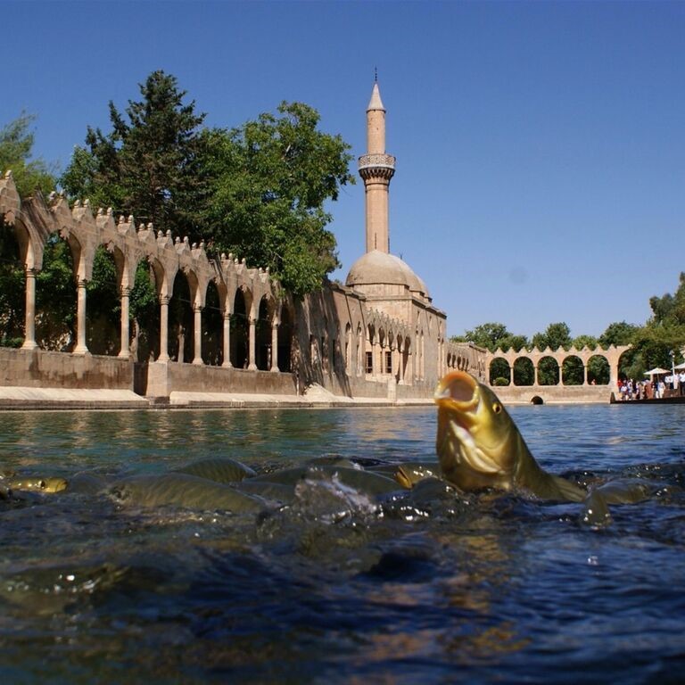 İzmir'den Uçak İle Hareketli 3 Gece 4 Gün Konaklamalı GAP Rüyası Turu