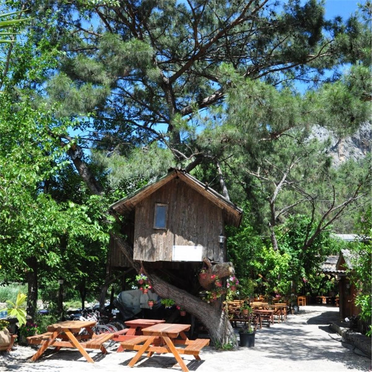 İZmir çıkışlı 3 gece 4 gün antalya olympos turu