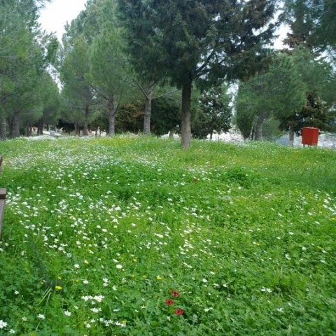 ÇIÇEKLI KÖY KIMIZ AT ÇIFTLIĞI TURU 7